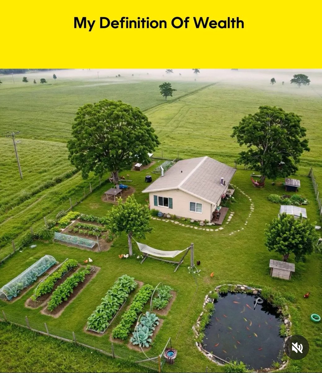 Sanjay Singh 🇮🇳 tweet media