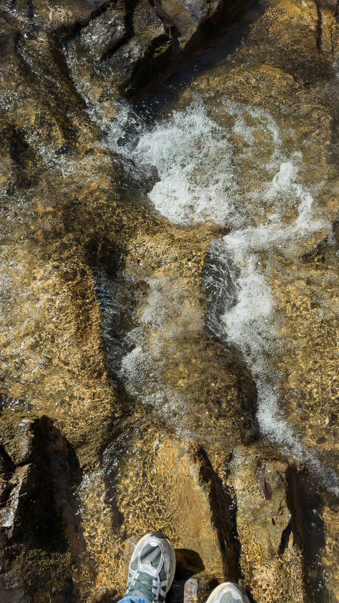hags310's tweet image. found a spot to roll something up and feel some water. happy friday