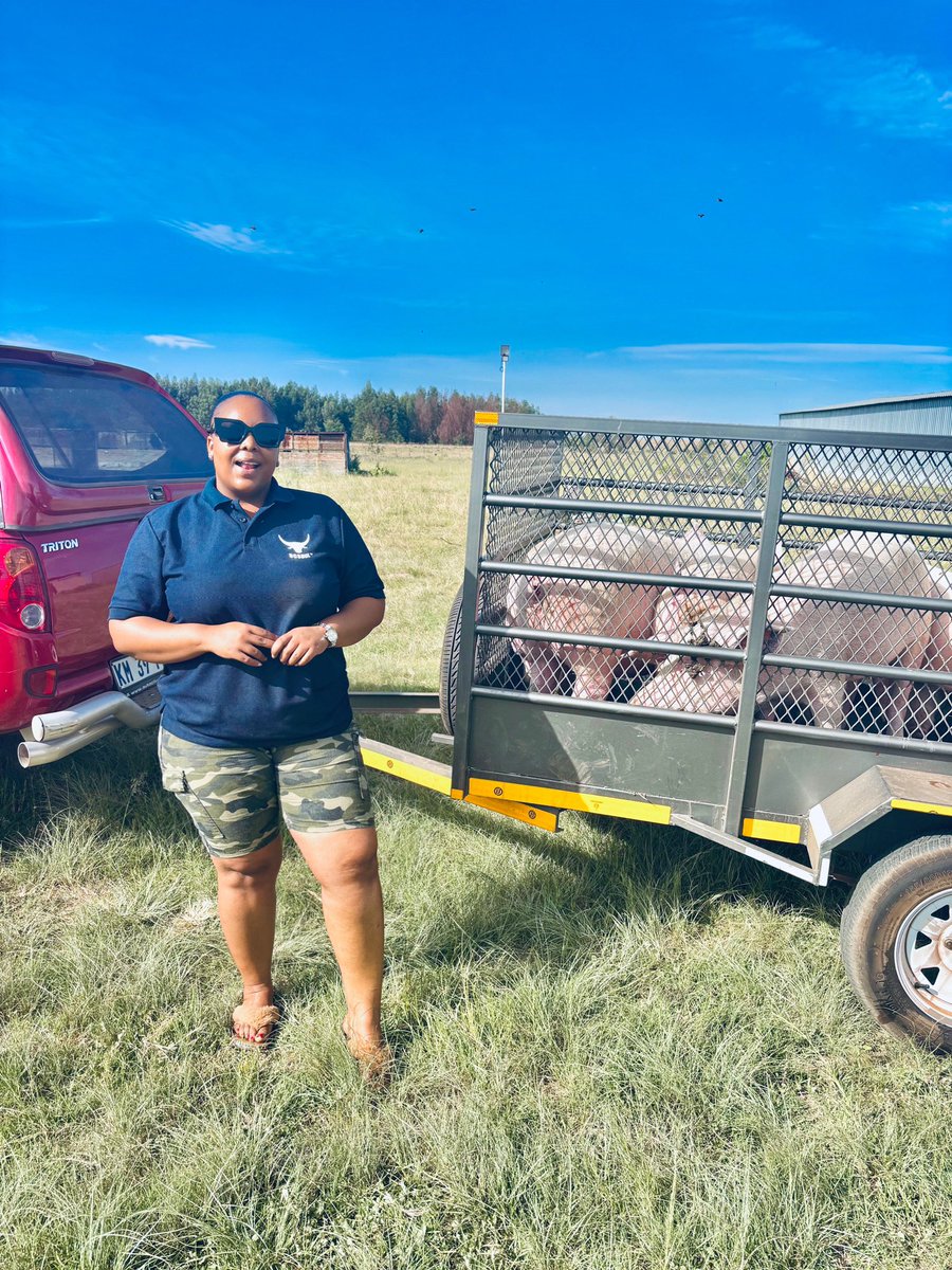 I’m exhausted, moved the last stock nonetheless it has been a fruitful week