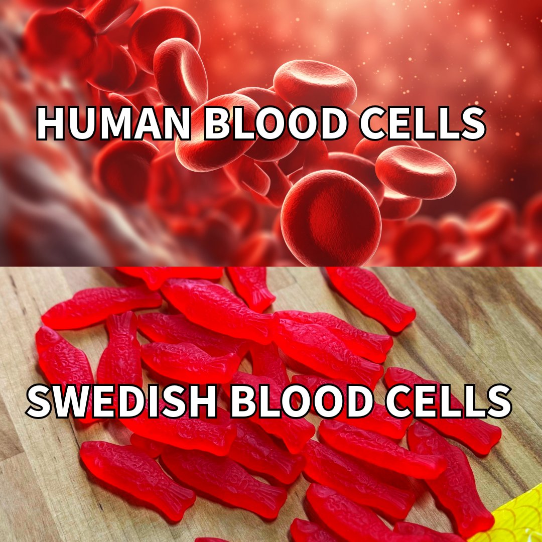 i’m cod-blooded
