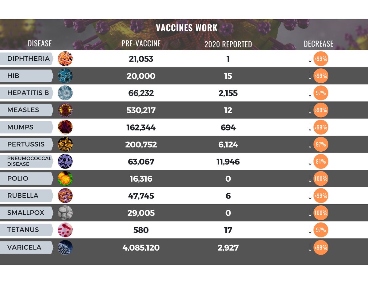 Robert Hopkins tweet media