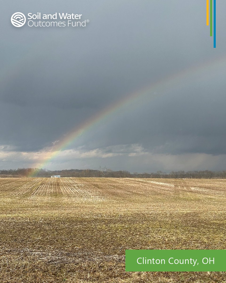 📷 Today's #FridayFieldPhotos are #notill fields from Clinton County in SW Ohio. Reduce your #tillage, add a #covercrop, and more to improve your bottom line with #conservation. We can help. Join our waitlist. ➡️ theoutcomesfund.com
#farm4profit #fieldphotomadness #farmlife
