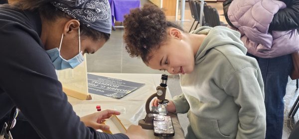 St. Louis American (@stlouisamerican) on Twitter photo Saturday story time honored Sumner educator and pioneering entomologist
Buzzing with History
🖋️Kenya Vaughn | St. Louis American
📸Kenya Vaughn
The <a href="/mohistorymuseum/">Missouri History Museum</a> reflected the theme of the full-day Black Missourians in STEM program.
#stlamerican
ow.ly/QVAZ50V51W8 Saturday story time honored Sumner educator and pioneering entomologist
Buzzing with History
🖋️Kenya Vaughn | St. Louis American
📸Kenya Vaughn
The <a href="/mohistorymuseum/">Missouri History Museum</a> reflected the theme of the full-day Black Missourians in STEM program.
#stlamerican
ow.ly/QVAZ50V51W8