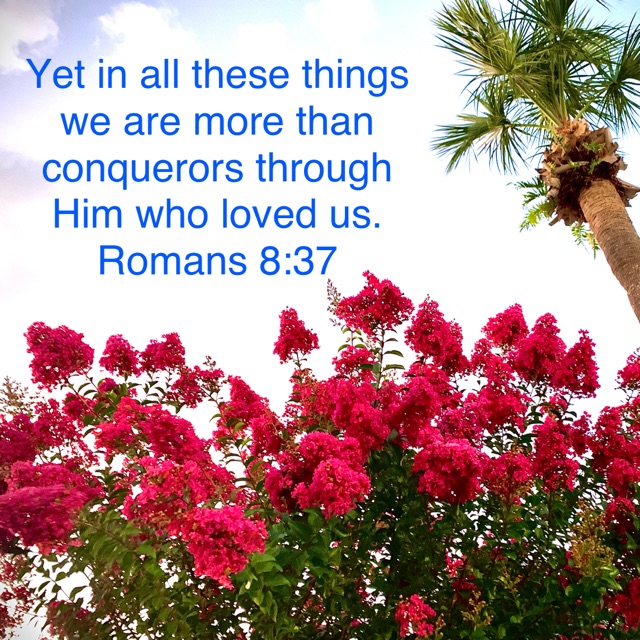 tweets_mb's tweet image. #Conqueror #Jesus #Love