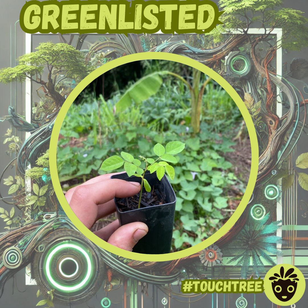 GM Treegens🌳

A round of applause for <a href="/TreeDjinn/">TreeDjinn</a>, now proudly GREENLISTED🎉

Your Touch Tree moment has unlocked a place in the Treegens family, and we’re over the moon to have you join us 💚

Could you be our next Touch Tree Hero?