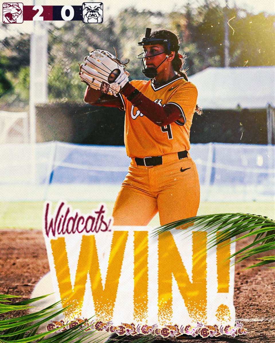 Blanked 'Em in Madeira Beach!

#𝙃𝙖𝙞𝙡𝙒𝙞𝙡𝙙𝙘𝙖𝙩𝙨 | #𝙋𝙧𝙚𝙮𝙏𝙤𝙜𝙚𝙩𝙝𝙚𝙧