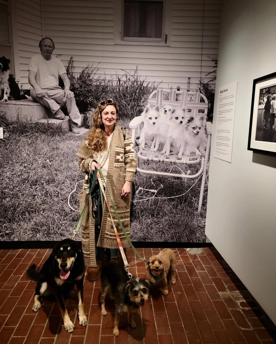 The Momentary tweet media