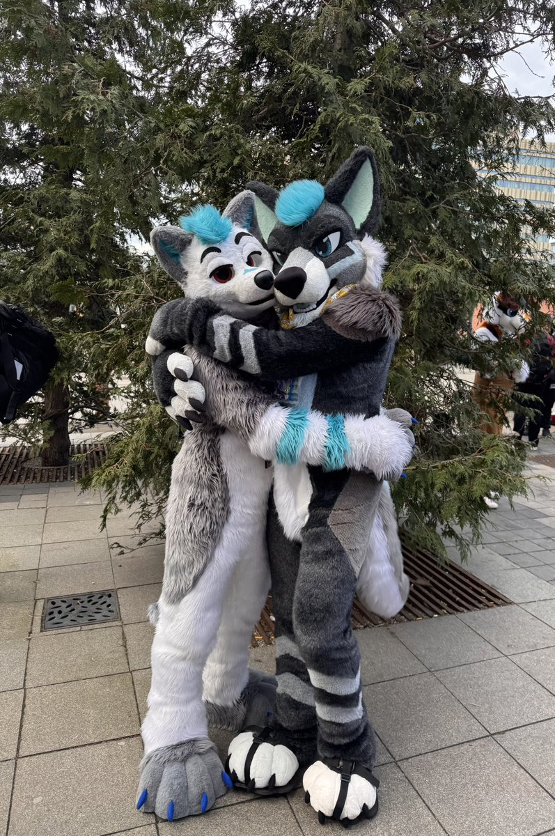 I have had a blast at NFC, got to spend time with old time friends and met cool new people! 

Also… Look! Found fursuit bro <a href="/RokkoWusky/">Rokko</a> 

📸: <a href="/HazardtheDragon/">Hazard the Dragon</a> 

#FursuitFriday #NFC2025 #Furry
