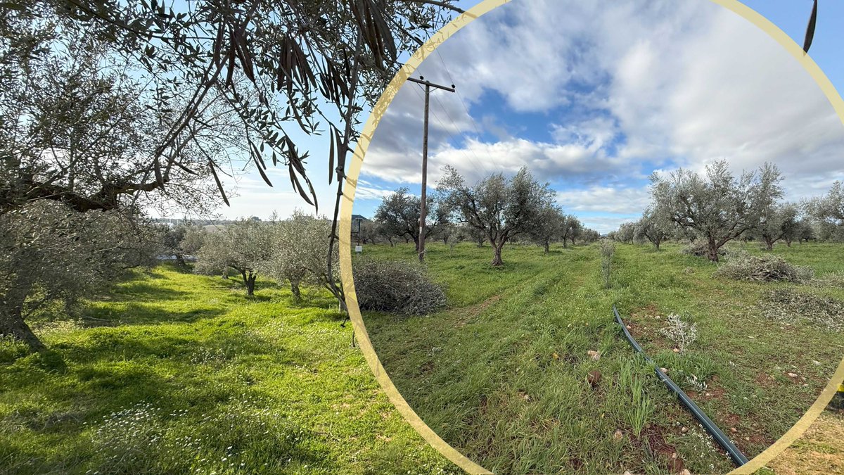 AMBITIOUS Project tweet media