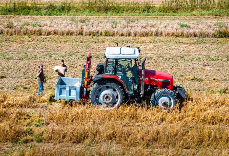 Damien Castelain (@damiencastelain) on Twitter photo 🚜 La <a href="/MetropoleLille/">Métropole Européenne de Lille</a> investit 1,2M€ dès 2025 dans sa stratégie agricole et alimentaire pour :
💧Soutenir une agriculture responsable,
🍴Une légumerie pour l’approvisionnement en fruits et légumes locaux et durables,
👨🌾 Préserver la fonction nourricière des terres agricoles. 🚜 La <a href="/MetropoleLille/">Métropole Européenne de Lille</a> investit 1,2M€ dès 2025 dans sa stratégie agricole et alimentaire pour :
💧Soutenir une agriculture responsable,
🍴Une légumerie pour l’approvisionnement en fruits et légumes locaux et durables,
👨🌾 Préserver la fonction nourricière des terres agricoles.