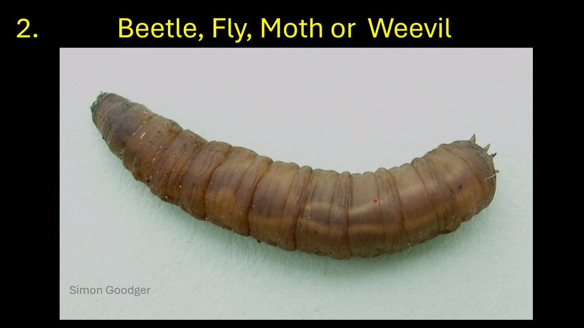 Simon Goodger tweet media