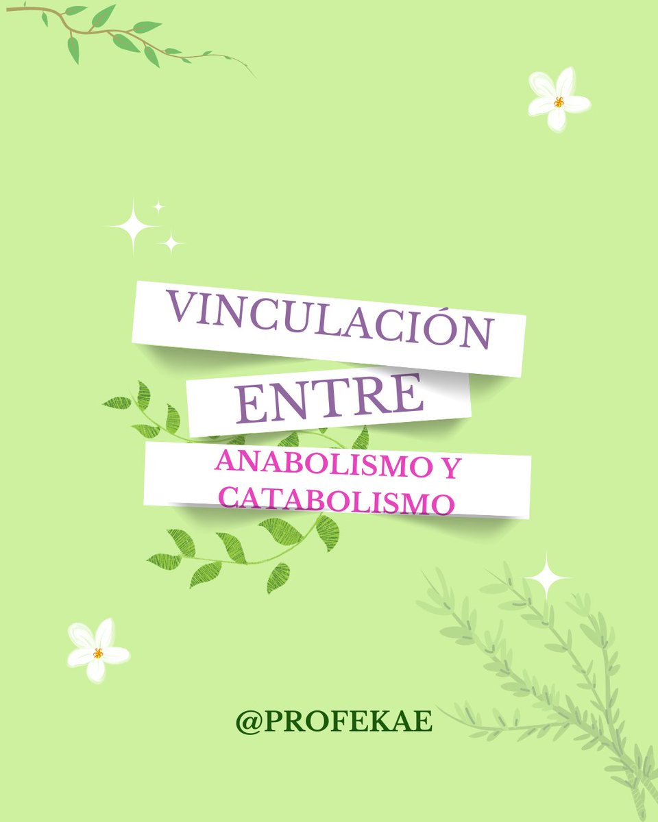 profekae's tweet photo. ¿Nunca te pasa que los temás que ves lo entendes mejor como redes conceptuales? cualquier duda o consulta sobre Biología 54 más que bienvenida💚. Espero que te sirvan mis post🧫🧬👩‍🔬 #biology #BiologicalWeaponsProgram #Ciencia https://t.co/aaPvog9at1