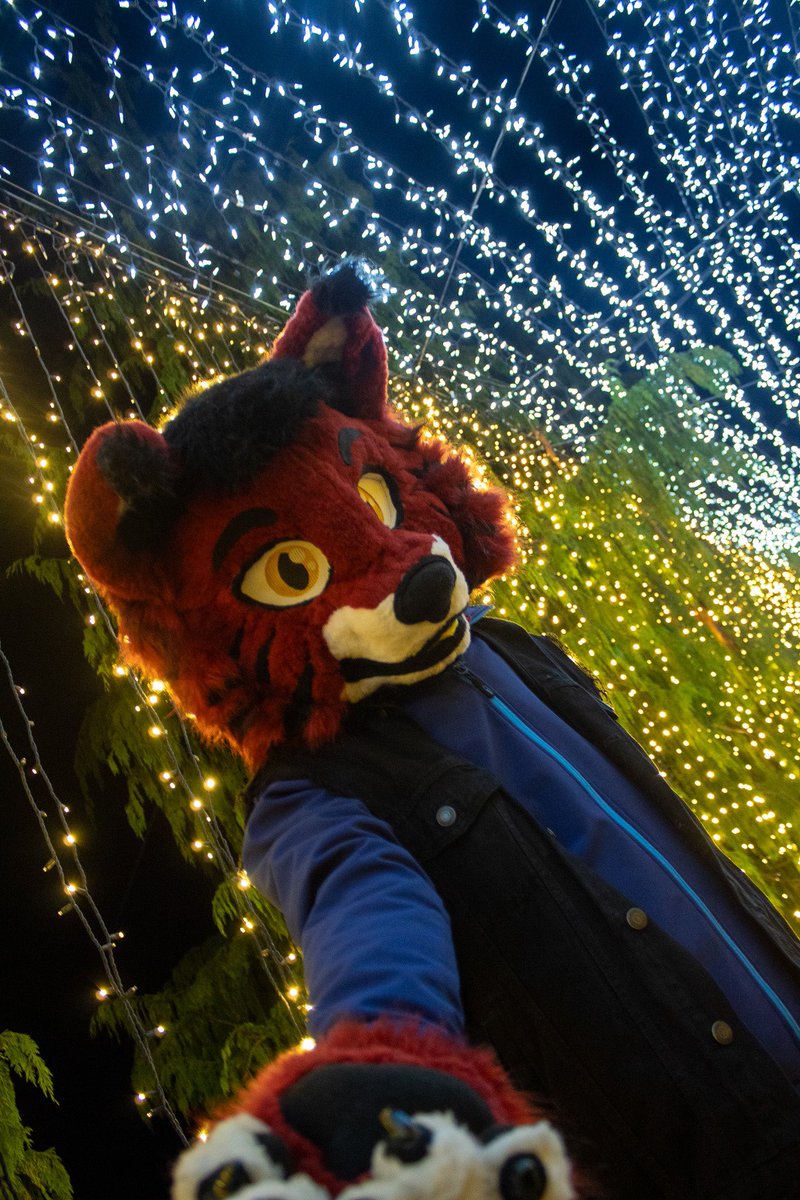 Hey! Quick, grab my paw and let’s run to #FursuitFriday !!!

📸: <a href="/ZellZapaven/">Zell Zapaven</a>