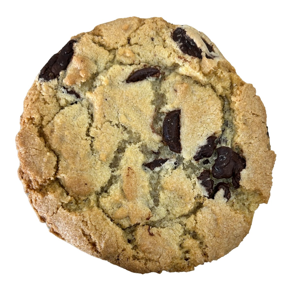 topshelfcookies's tweet photo. Meet Hazel's Chocolate Chip: where rich brown butter meets dark Belgian chocolate for a cookie that’s pure bliss! Indulge today! 🍪✨ #CookieLove
Click to Ship: https://t.co/fAiGzRDqBY https://t.co/8EQBnWQDq4