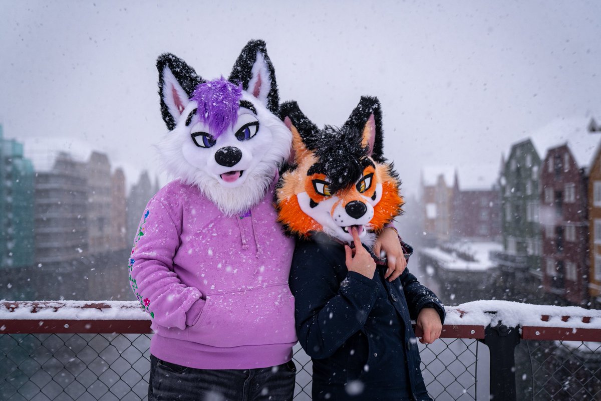 I had the best time in Norway last week! #FursuitFriday 
📷 <a href="/MysticalWoof/">Mystic</a>