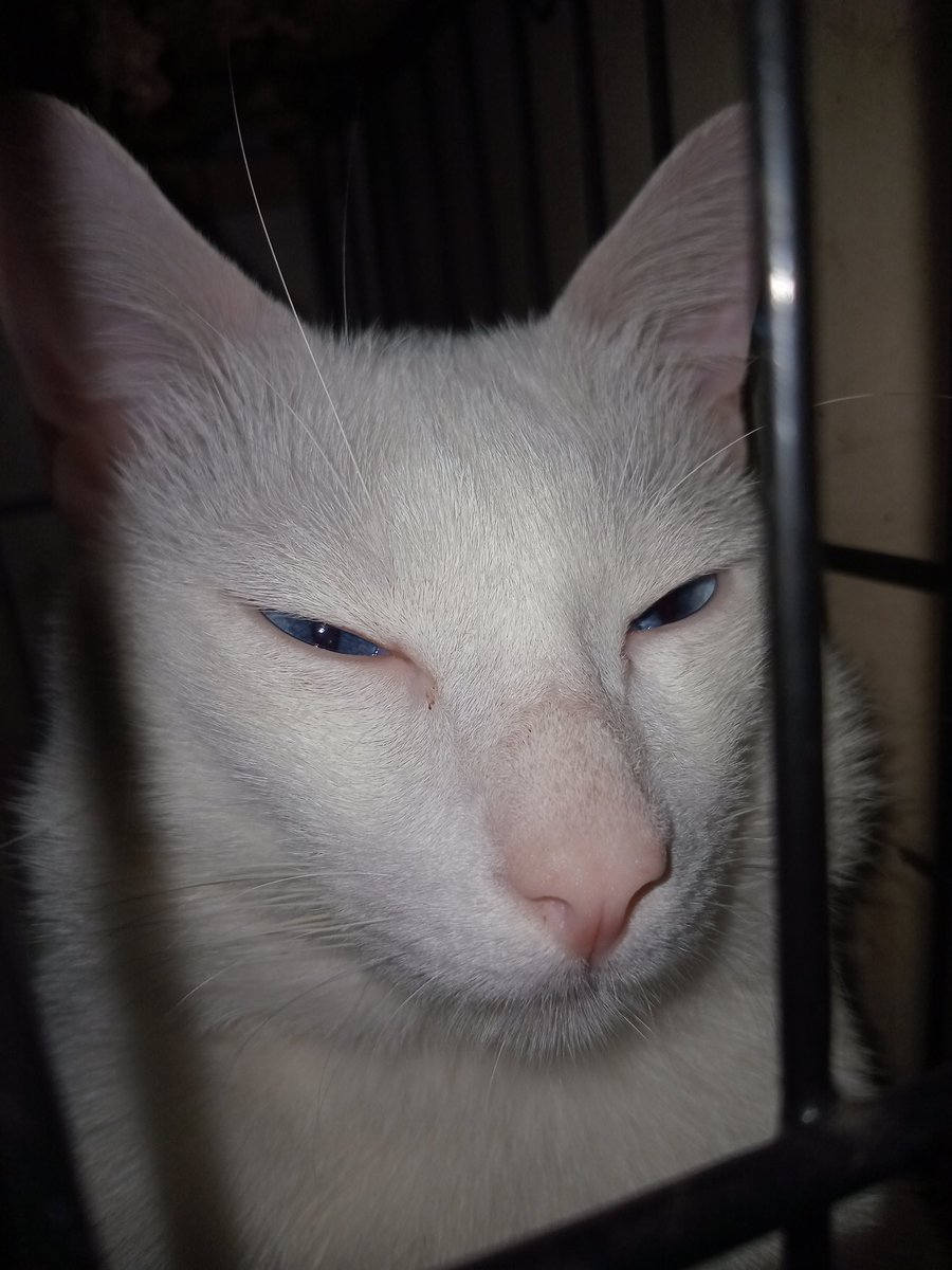 undednu's tweet photo. https://t.co/FcHqsa2bXf