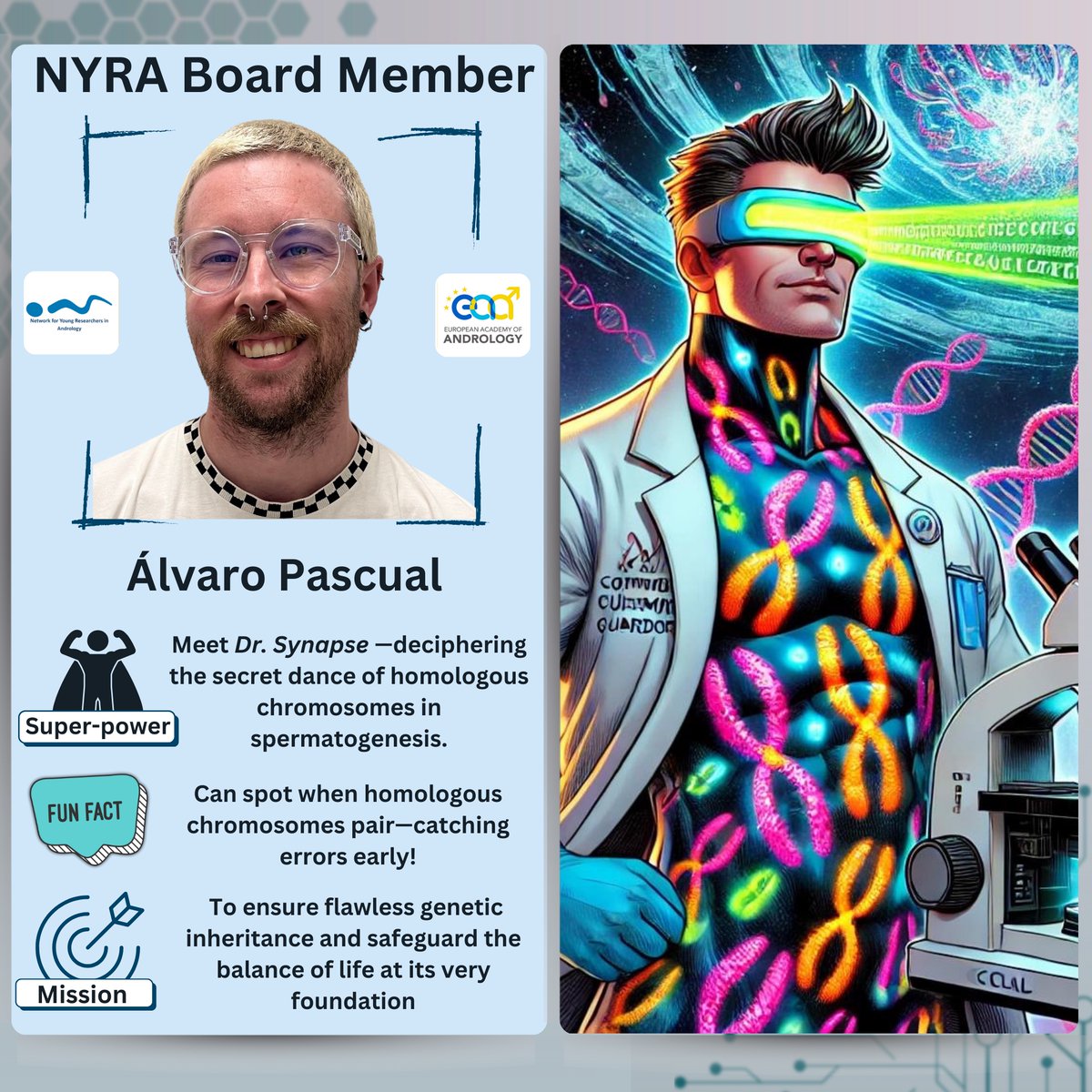 Meet the NYRA Board—Superheroes Edition!

Next up: Álvaro Pascual (aka Dr. Synapse) - 🧬⚡—decoding the secret choreography of homologous chromosomes during early spermatogenesis! 🔍✨
#Genetics #Spermatogenesis #SuperheroScience #NYRA