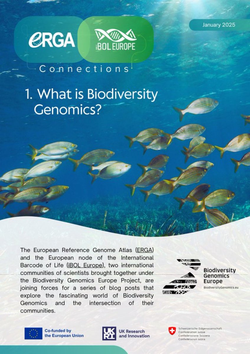 ❓What is #Biodiversity #Genomics?    

Our new leaflet explains it in a direct and engaging way - discover more! 🔗biodiversitygenomics.eu/wp-content/upl… 

#GenomicsExplained #connections #biology #science #genomes

via <a href="/erga_biodiv/">European Reference Genome Atlas</a>