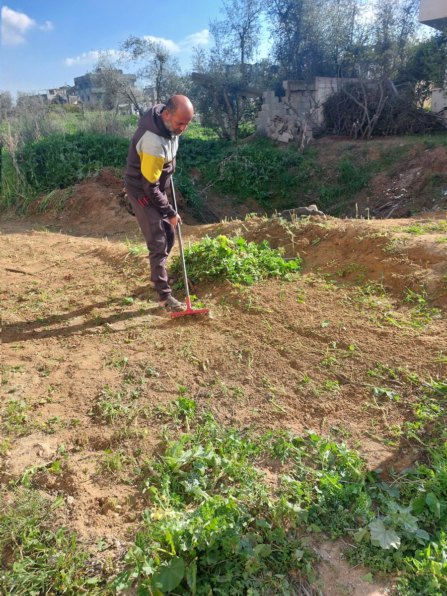 dr. mohammed hamad - Gaza tweet media