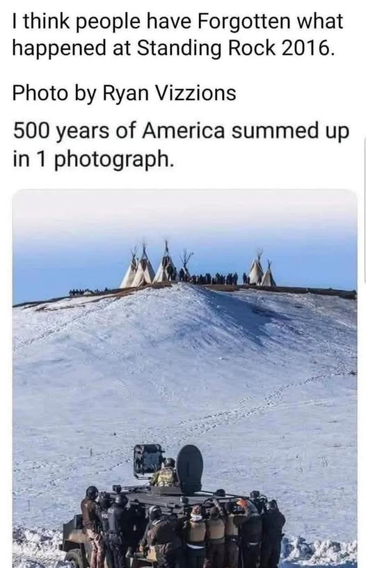 Indigenous tweet media