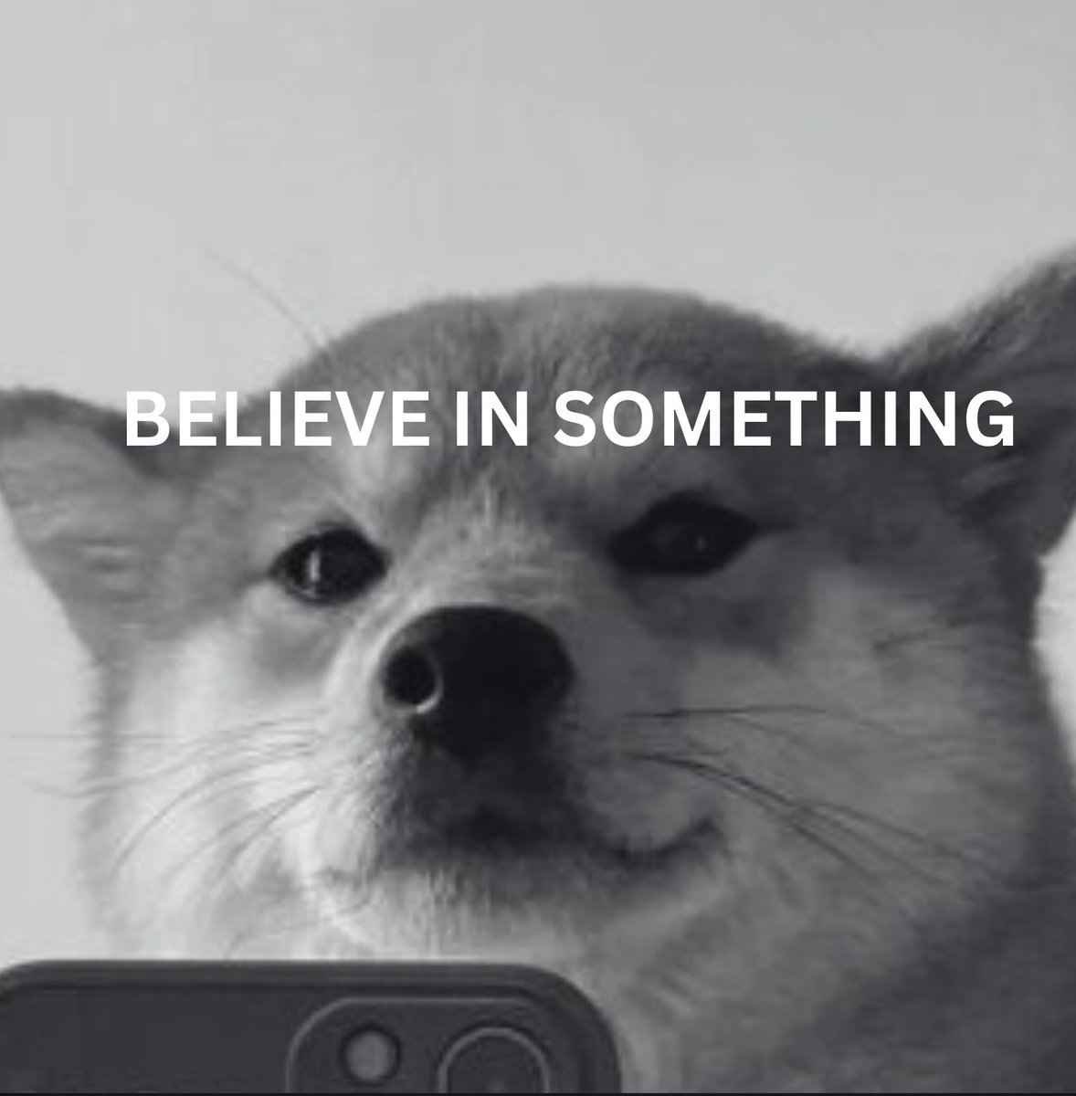 SelfieDog_SOL's tweet image. Believe in something✨
