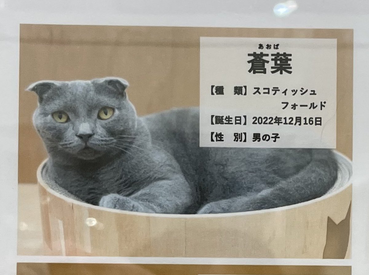 atari_min's tweet image. 