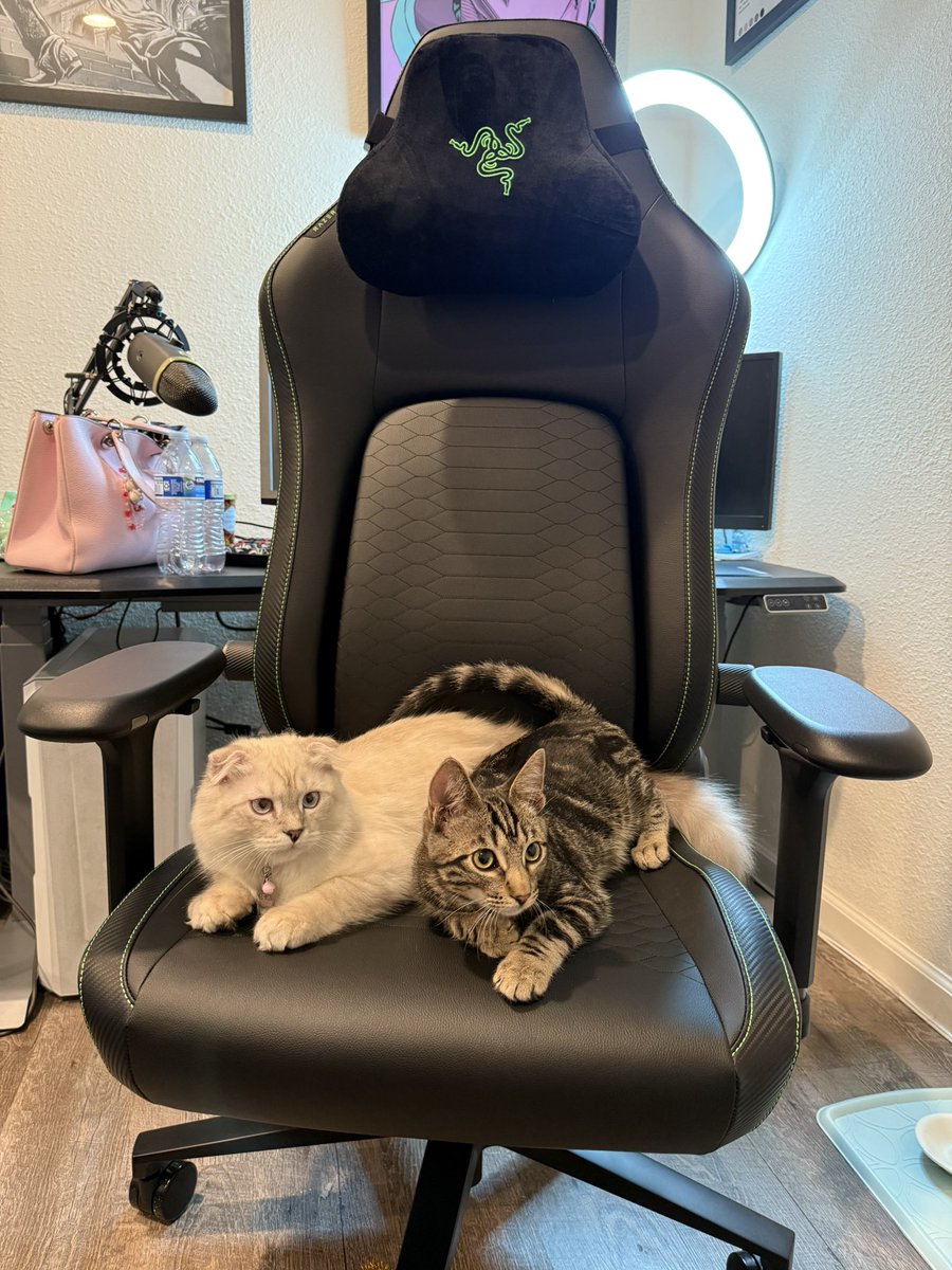 hi everyone, this is skillet and snowy. they once had horrible posture and gamer nerd neck from playing 12 hours a day. however, thanks to the Razer Iskur V2 their backs are fixed and happier than ever!! Thanks <a href="/TeamRazer/">Team RΛZΞR</a> 👊
