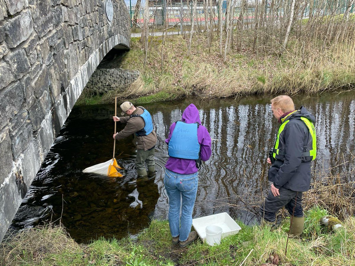 Day 5 of <a href="/georgiancollege/">Georgian College</a> <a href="/CanadoreCollege/">Canadore College</a> <a href="/GSO_ECM/">Global Skills Opp. / Exp. compétences mondiales</a> visit to <a href="/atusligo_ie/">ATU Sligo</a> saw the group finish their week with future foods workshops, living labs &amp; river sampling. #ATUGlobal
