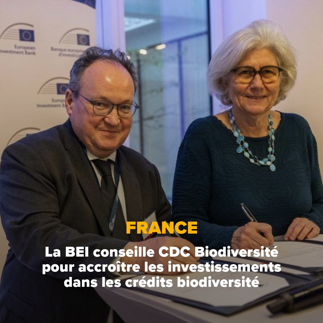 🇫🇷🇪🇺La <a href="/EIB/">European Investment Bank</a> et CDC Biodiversité signent un partenariat pour le placement de crédits volontaires biodiversité. L'objectif ? Augmenter les investissements dans la #biodiversité avec plus de moyens pour la #compensation, la #restauration et la #renaturation
👉urlr.me/PE62Ja
