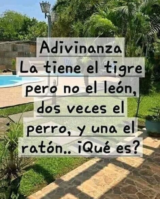 Enséñame de Ciencia tweet media