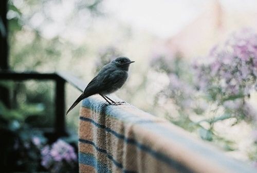 Raşit Keskin tweet media