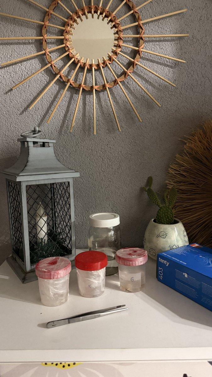 Eve iş getirmekte çığır açtım…