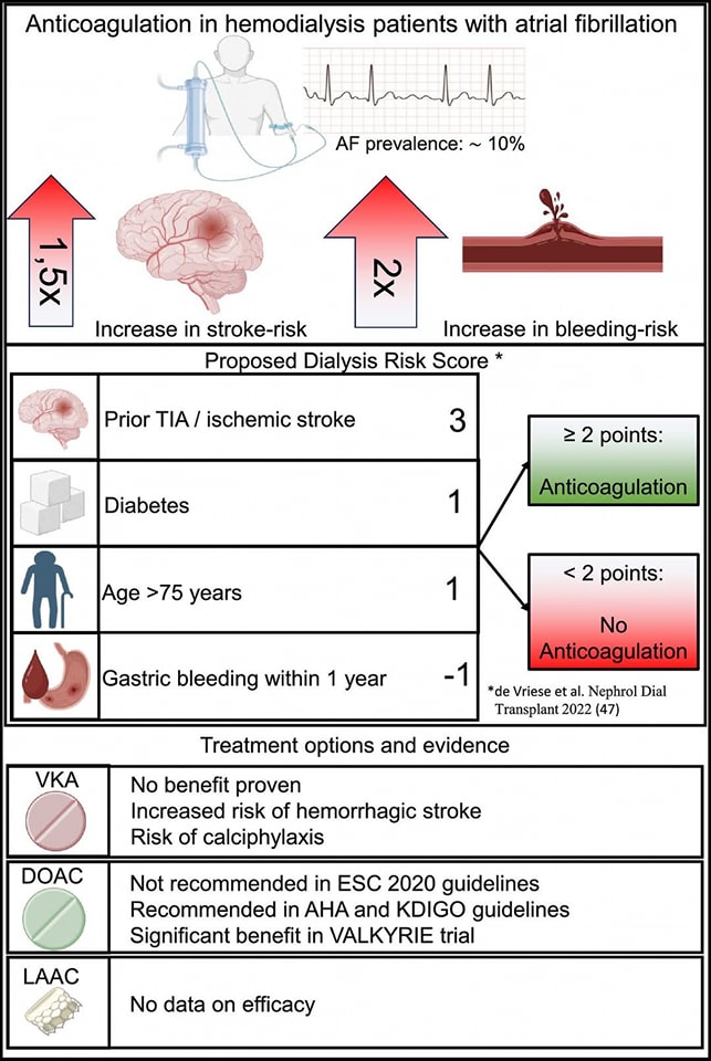🔴Use of DOACs in patients with atrial fibrillation on chronic hemodialysis ⤵️ #2024Review #openAccess 

🔹sciencedirect.com/science/articl…
 #CardioEd #MedEd #cardiotwitter #cardiology #medtwitter #medical #MedTwitter #MedX #meded #cardiox #cardioed #CardioTwitter #CVD #medicine