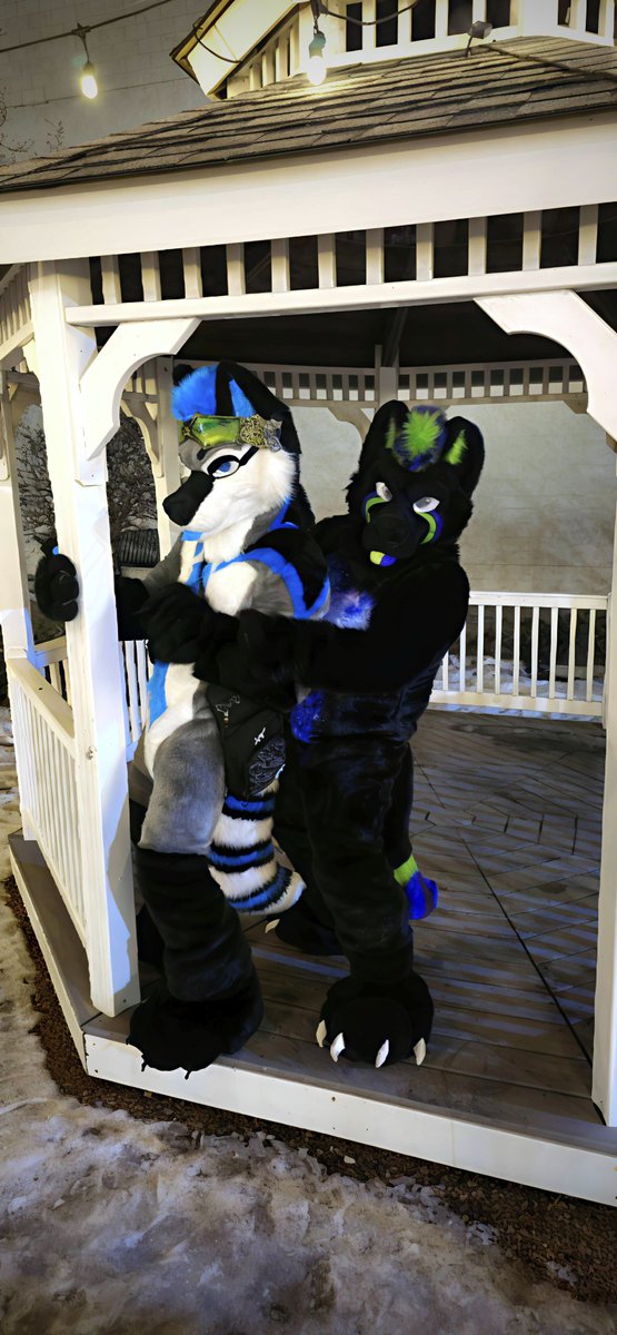 We had such a good time at Fur². I had to drag <a href="/badg3rbadg3r/">Zeke DaBusky</a> from the hotel at the end of the convention 💜💙

#fursquared2025 #FURRY #FursuitFriday  #gay #pup

📷 <a href="/The_PupAstro/">Pup Astro</a>