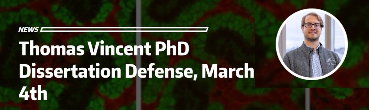 Kidney Research Institute (@kidneyresinst) on Twitter photo Thomas Vincent will defend his #PhD #dissertation "Nephron Progenitor Cell Engraftment beneath the Murine Kidney Capsule as a Platform for Disease Modeling, Drug Delivery, and Regeneration" on March 4th. #nephron #kidney <a href="/UWDeptMedicine/">UW Department of Medicine</a> Learn more: kri.washington.edu/news/thomas-vi⦠Thomas Vincent will defend his #PhD #dissertation "Nephron Progenitor Cell Engraftment beneath the Murine Kidney Capsule as a Platform for Disease Modeling, Drug Delivery, and Regeneration" on March 4th. #nephron #kidney <a href="/UWDeptMedicine/">UW Department of Medicine</a> Learn more: kri.washington.edu/news/thomas-viā¦