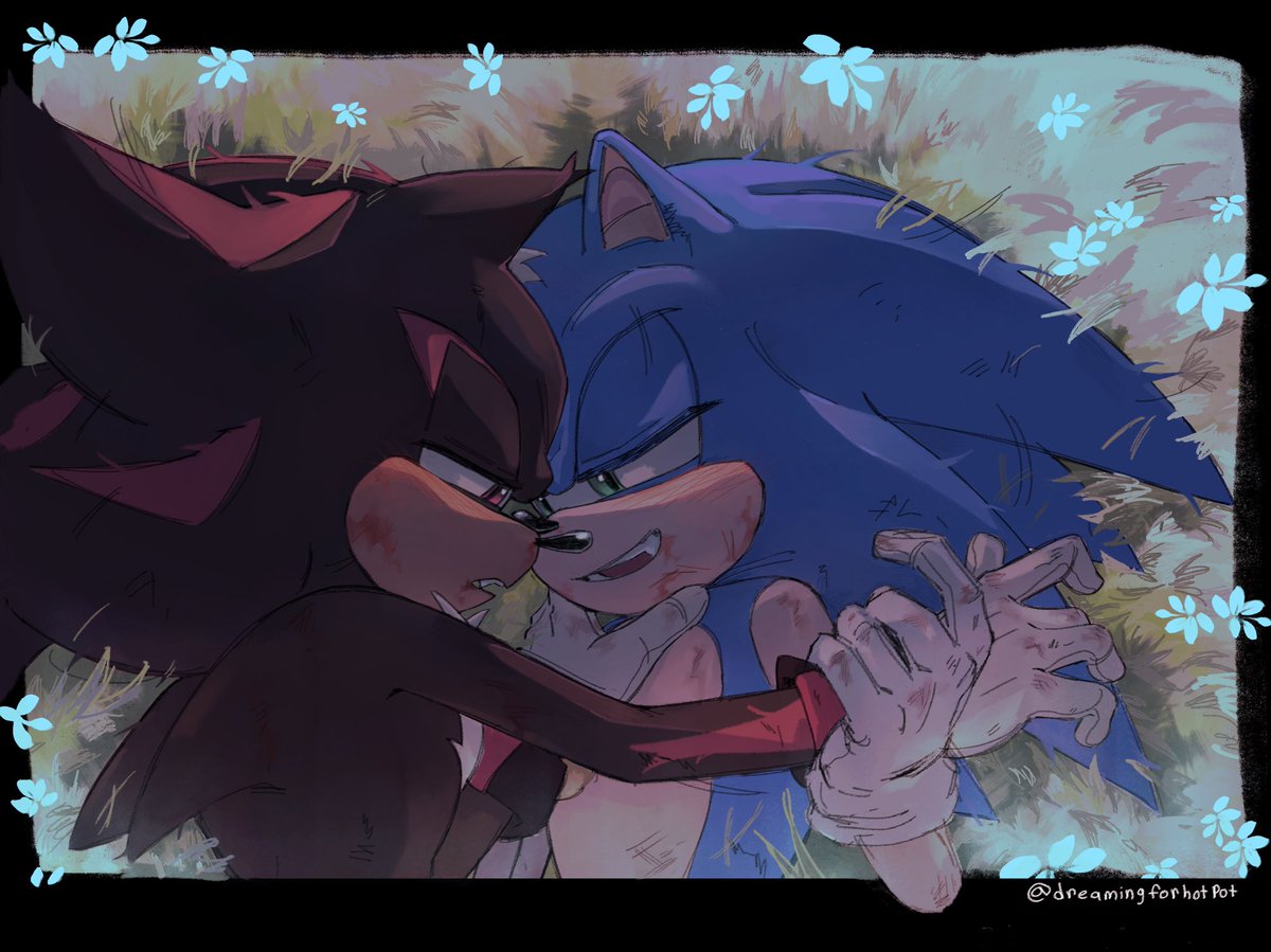 scuffling around in the grass is their love language 
#sonadow