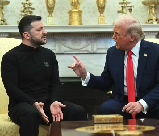 Occupy Democrats tweet media