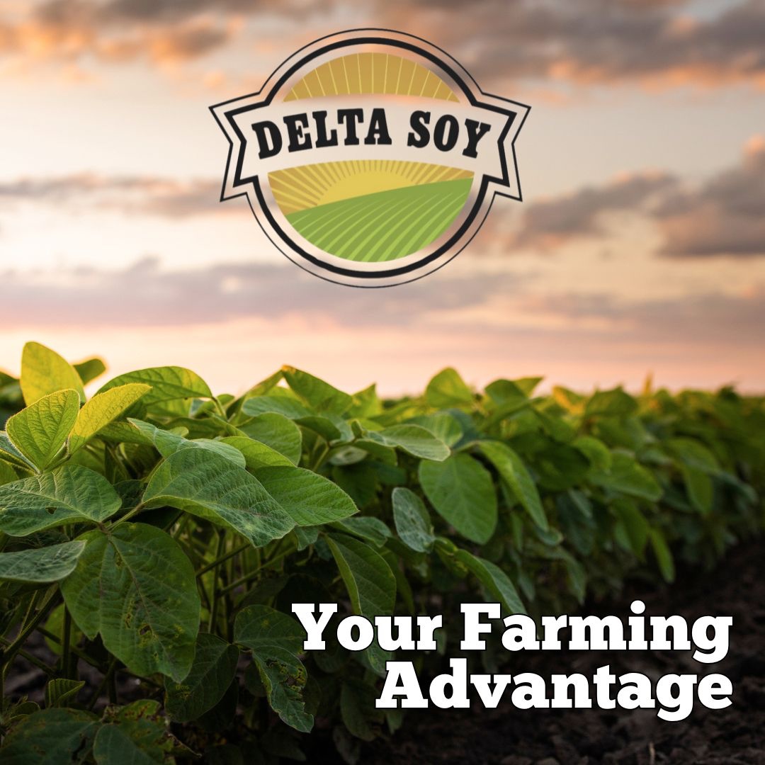 DeltaSoy's tweet image. Steady basis, natto premium, local delivery, and unmatched support. At Delta Soy, we’re dedicated to helping you farm smarter, not harder. 🚜

#DeltaSoy #FarmAdvantage