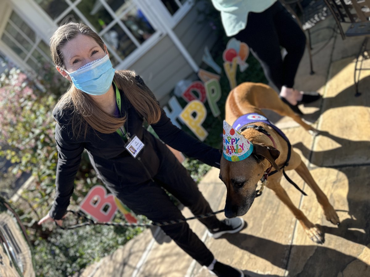 Happy Birthday to Dayo! Celebrate this 2024 Hero Dog and his incredible impact at George Mark. Watch this heartwarming video by the American Humane Society to see his journey and hear from a parent who cherished his visits.  bit.ly/2024HeroDogAwa…