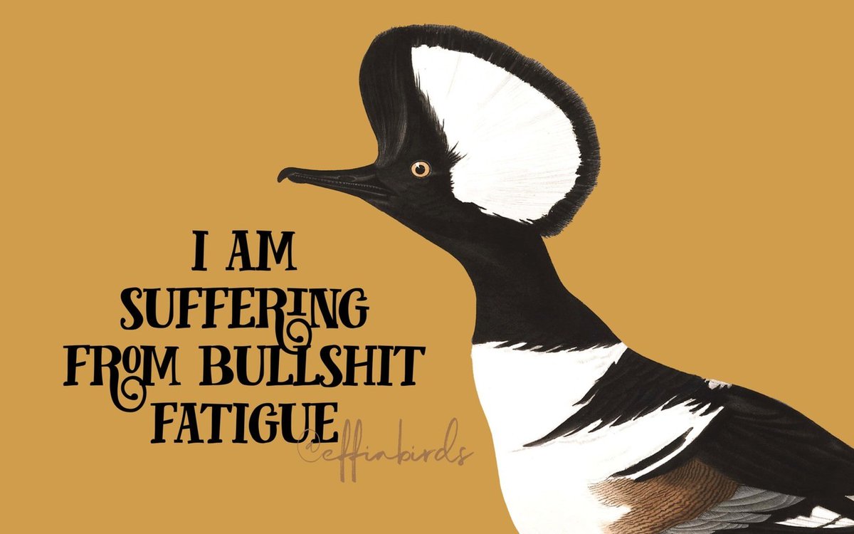EffinBirds's tweet photo. https://t.co/cWtL1UiBxo