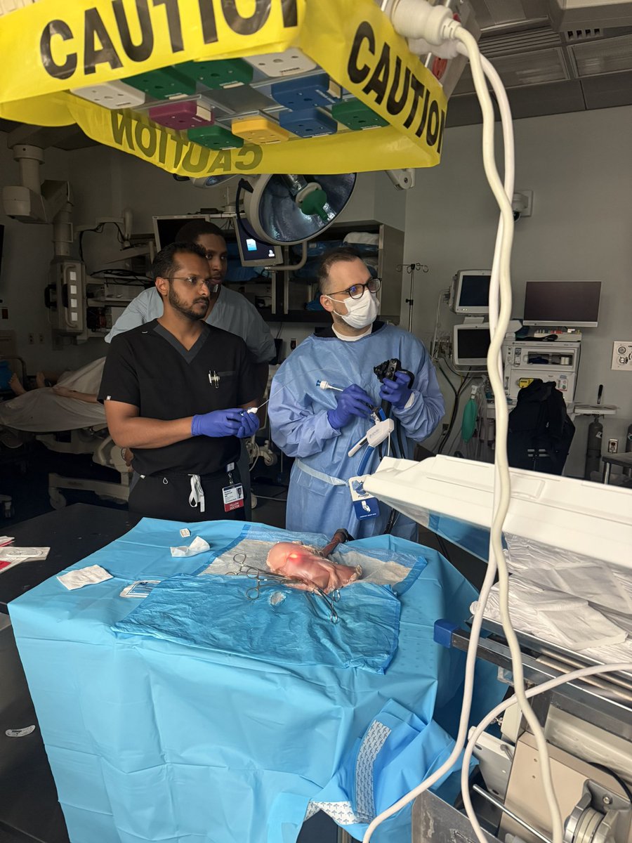 William Beaumont University Hospital GI Fellowship tweet media