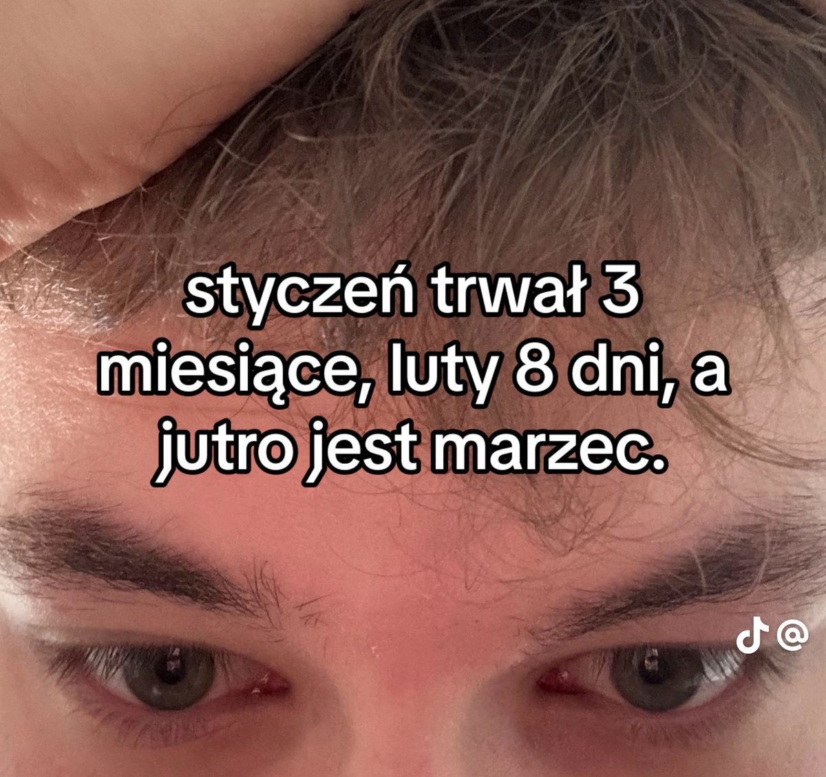 Grzesiu メ𝟶 tweet media