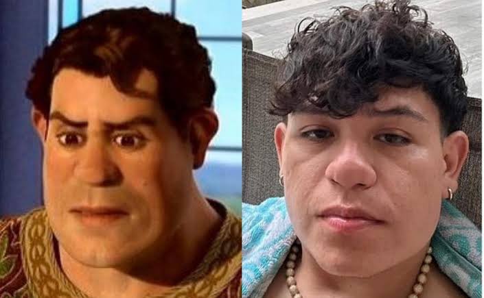 Nose porque le cambiaron la animación a Shrek si se veía mejor antes pipipi