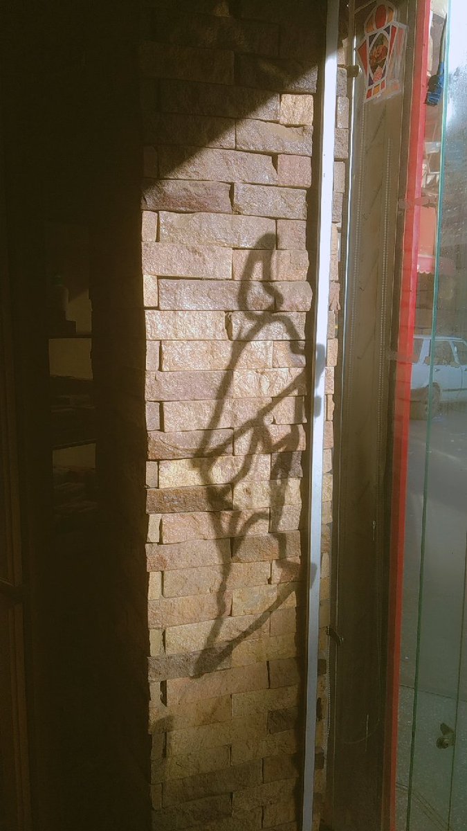 ذَٰلِكَ وَمَن يُعَظِّمْ شَعَائِرَ اللَّهِ فَإِنَّهَا مِن تَقْوَى الْقُلُوبِ