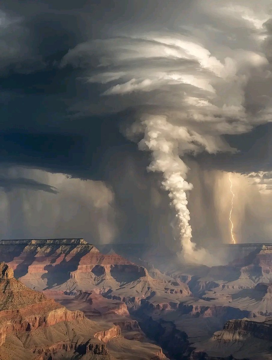 sciencespace0's tweet image. Grand Canyon National Park in Arizona 😍