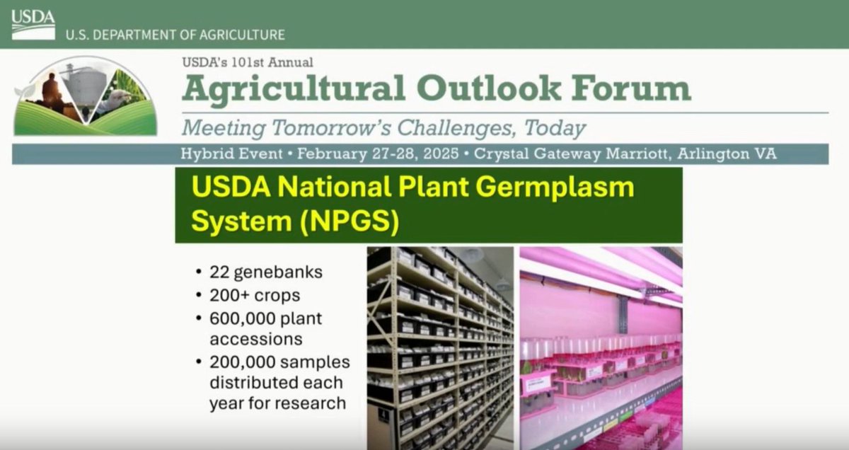 USDA_ARS's tweet image. #AgOutlook25: Why is the National Plant Germplasm System critical to industry and research? Learn more at the USDA AgOutlook Forum through today. loom.ly/OQPkL-w
