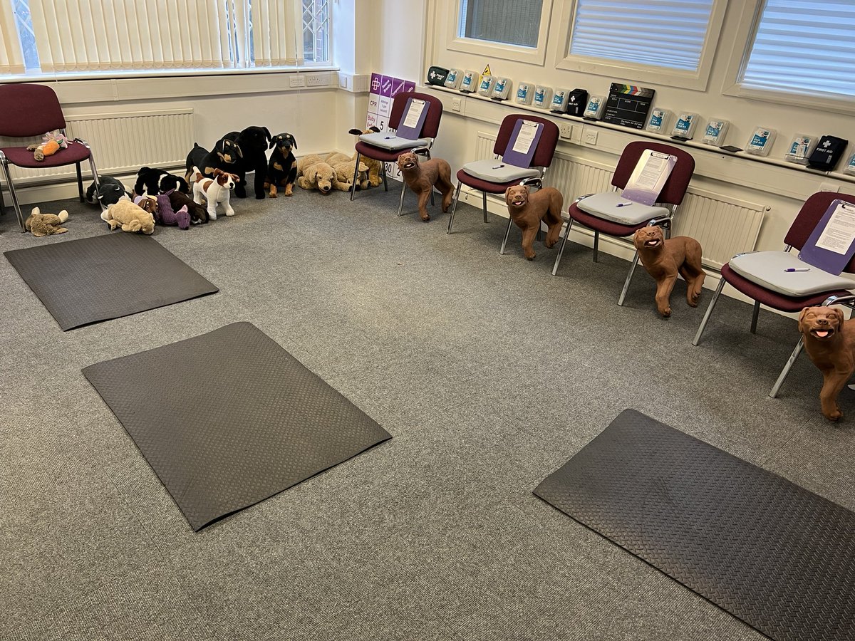 Purple Dog Training Ltd tweet media