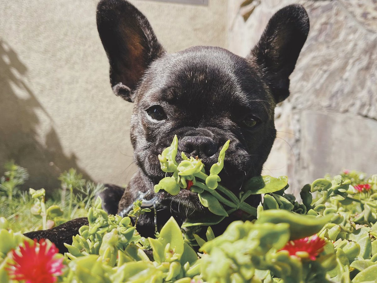😼🐶Discover Week 4: Photography

Piece 1:
Skid Row 3 
2023

Piece 2:
In the Jungle 
by <a href="/Cre8tionsX/">cre8tions</a> 

Cre8tionsX creatively captures people, architecture, and the charm of cats and the adorableness of dogs.
