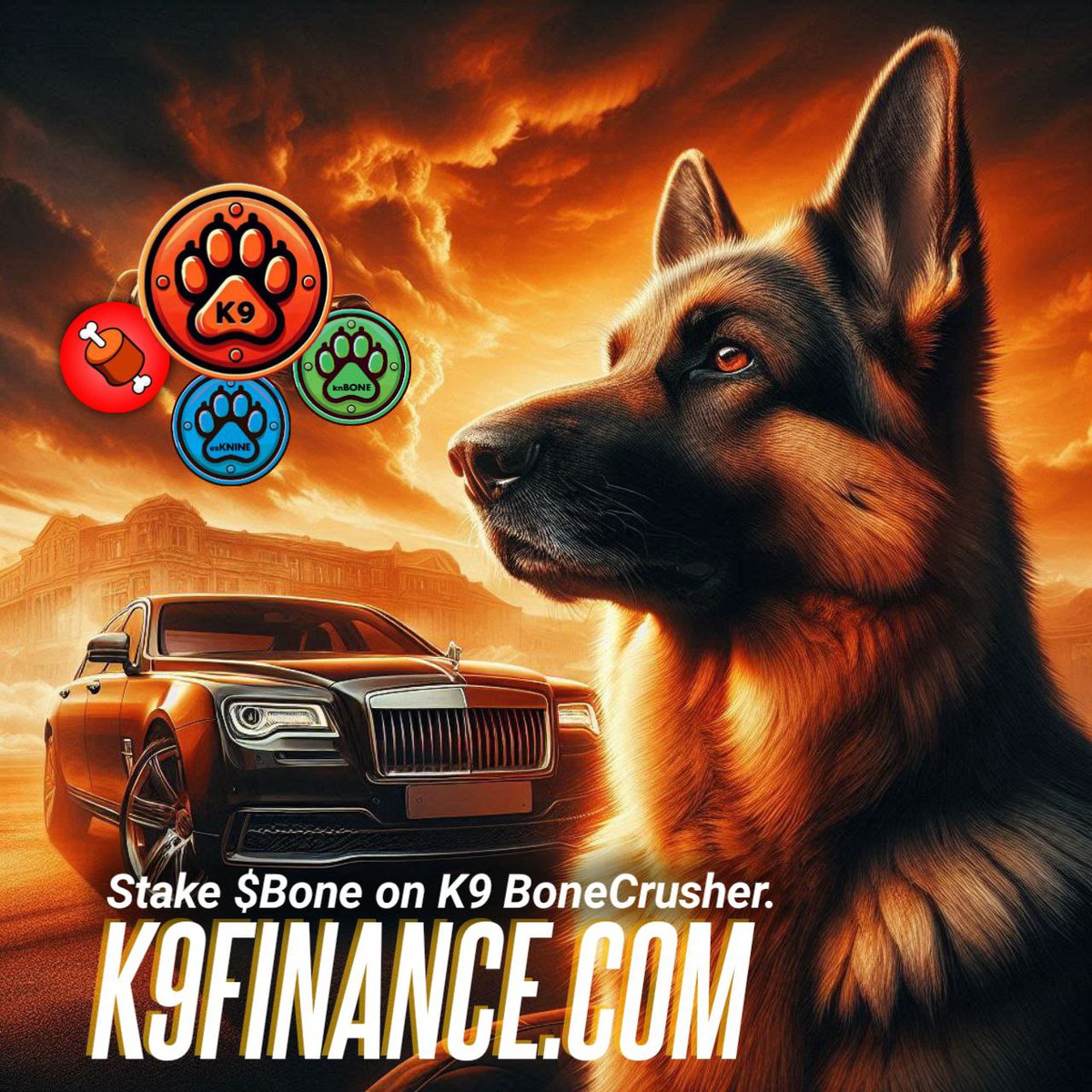 MrBakogo's tweet photo. @K9finance @Queen1Crypto Be part of something big! Support Shibarium and reap the rewards with $KNINE.  

#KNINE 

  @K9finance 🥸🥸   https://t.co/cCnuFGlepN 

#Ethereum #Shibarium 
#EliteMarketingArmy https://t.co/JhyFzJdMto