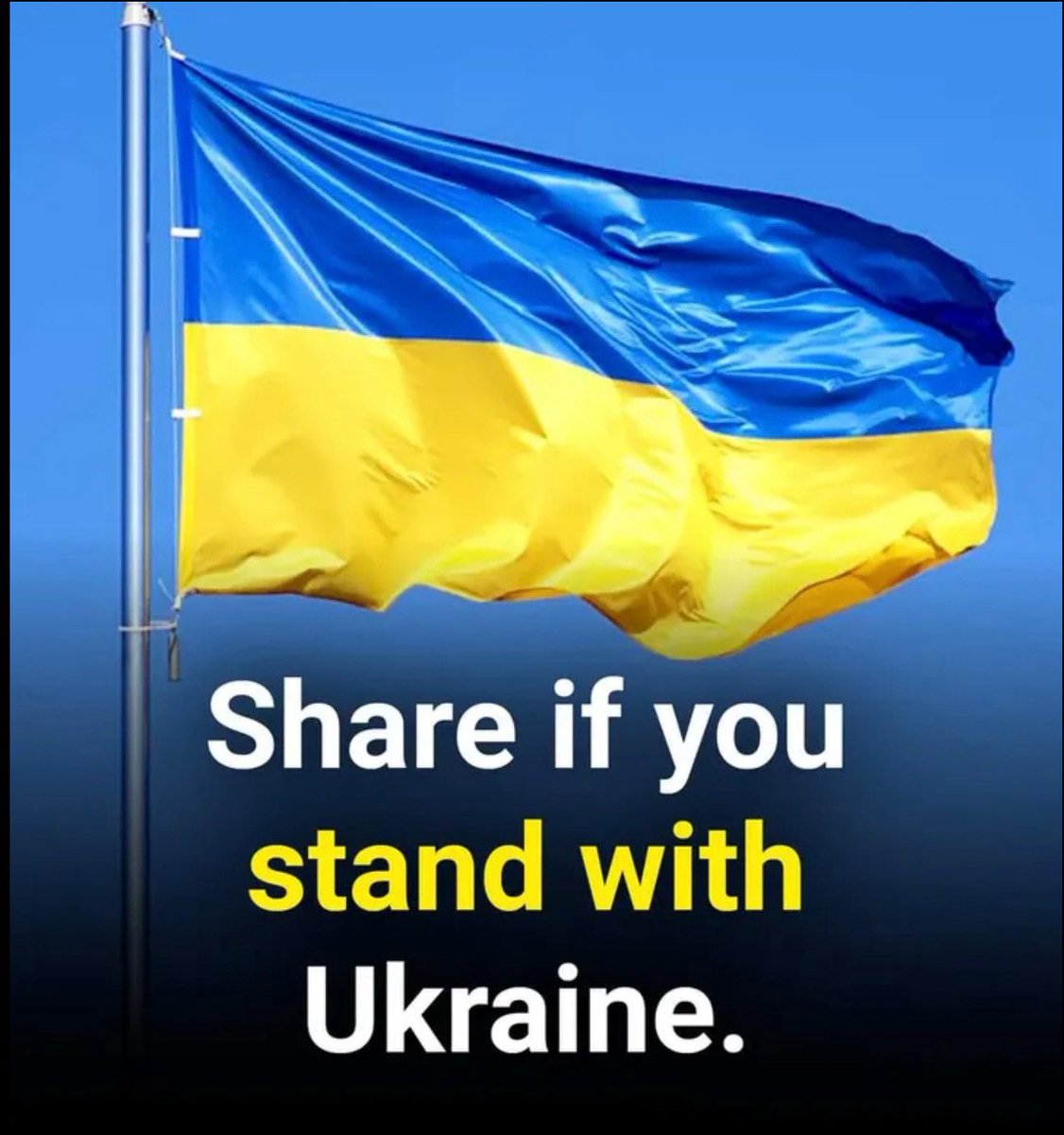<a href="/elonmusk/">Elon Musk</a> #Ukraine 🌻
#TrumpIsUnfitForOffice